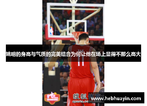 姚明的身高与气质的完美结合为何让他在场上显得不那么高大